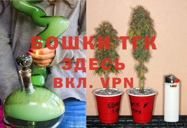 гидра Алексин