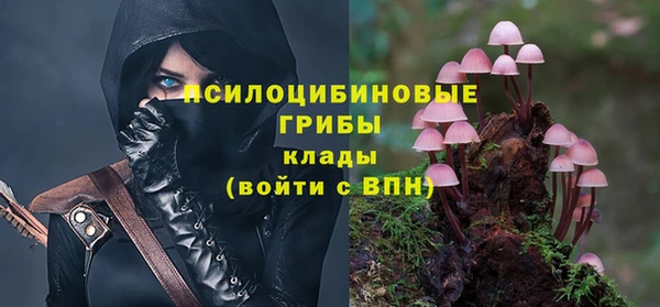 apvp Алексеевка