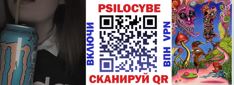 Псилоцибиновые грибы Cubensis  закладка  Пикалёво 