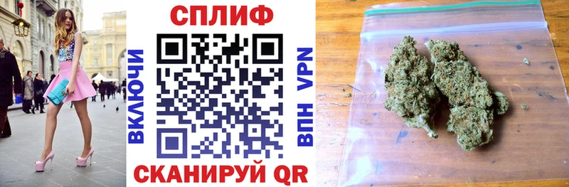 Конопля планчик  Пикалёво 